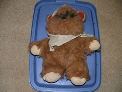 Image result for Ewok Doll