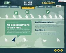 Image result for Ning Platform