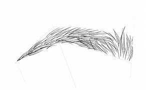 Image result for Draw Eyebrows