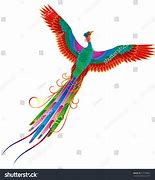 Image result for Chinese Phoenix Bird