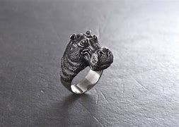 Image result for Hippo Ring