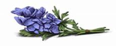 Image result for Wolfsbane PNG