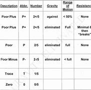 Image result for Break Test MMT Grading