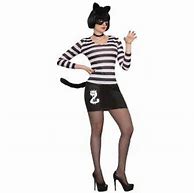 Image result for DIY Cat Burglar Costume