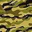 Image result for Modern Marine Camo