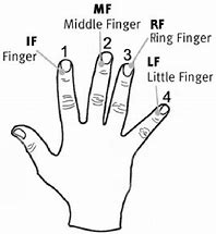 Image result for 1st Finger