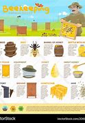 Image result for Honey Beekeeping