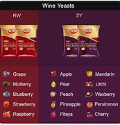 Image result for Wine Yeast Strains