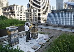 Image result for Beginning Beekeeping