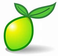 Image result for LimeSurvey Logo