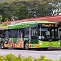 Image result for B61 Bus