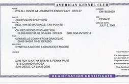 Image result for AKC Pal Certificate