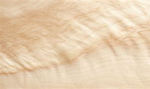 Image result for Maple Wood Grain