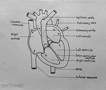 Image result for Simple Fixed Heart Drawings Emo