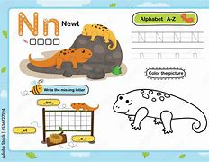 Image result for What's in Newt Letters Capsules