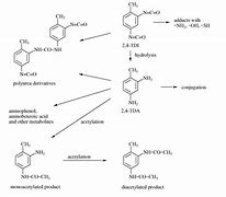 Image result for Toluene Diisocyanate NMR