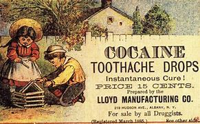 Image result for Cocaine Natural Form