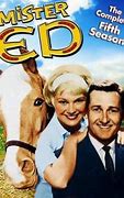 Image result for Mr. Ed TV Set