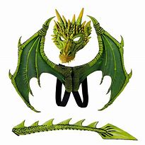 Image result for Dragon Costume Kids