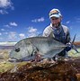 Image result for Giant Trevally Fly Fishing