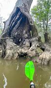 Image result for Lakes Near Beaumont TX