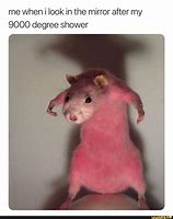 Image result for Sewer Rat Meme