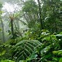 Image result for Costa Rica What to Visit