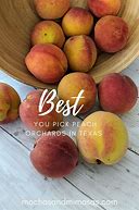 Image result for Peach Picking