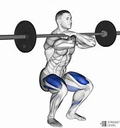 Image result for Front Squat Exercise