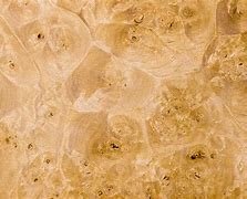 Image result for Maple Wood Grain