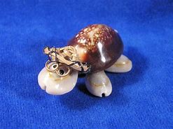 Image result for Turtle Made Out of Shells