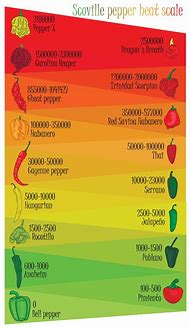 Image result for Scala Scoville