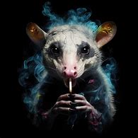 Image result for Possum Doodle