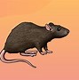 Image result for Easy to Draw Rat