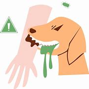 Image result for Rabies Dog Clip Art