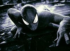 Image result for Black Spider-Man Spider