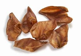 Image result for What Is Pig Ear Plant