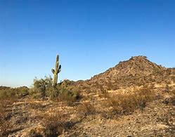 Image result for Phoenix Nature Preserve