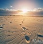 Image result for Sun Sand Sea Quotes