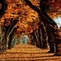 Image result for Cozy Fall Laptop Backgrounds