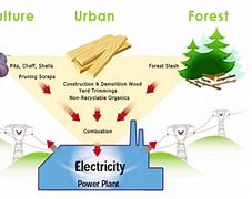 Image result for How Does Biomass Energy Work