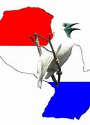 Image result for Paraguay Bioma