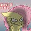 Image result for Troll Face/Head