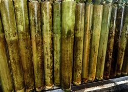 Image result for Gambar Lemang Untuk Mewarna