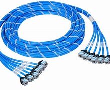 Image result for Fiber Optic Trunk