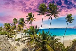 Image result for Tropical Italy