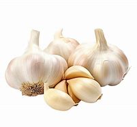 Image result for Pic of Garlic