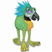 Image result for Peckinda Rig MSM