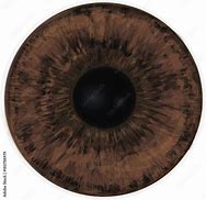 Image result for Brown Cartoon Eye Texture