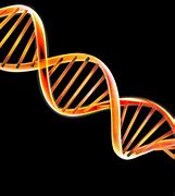 Image result for DNA Double Helix Wallpaper